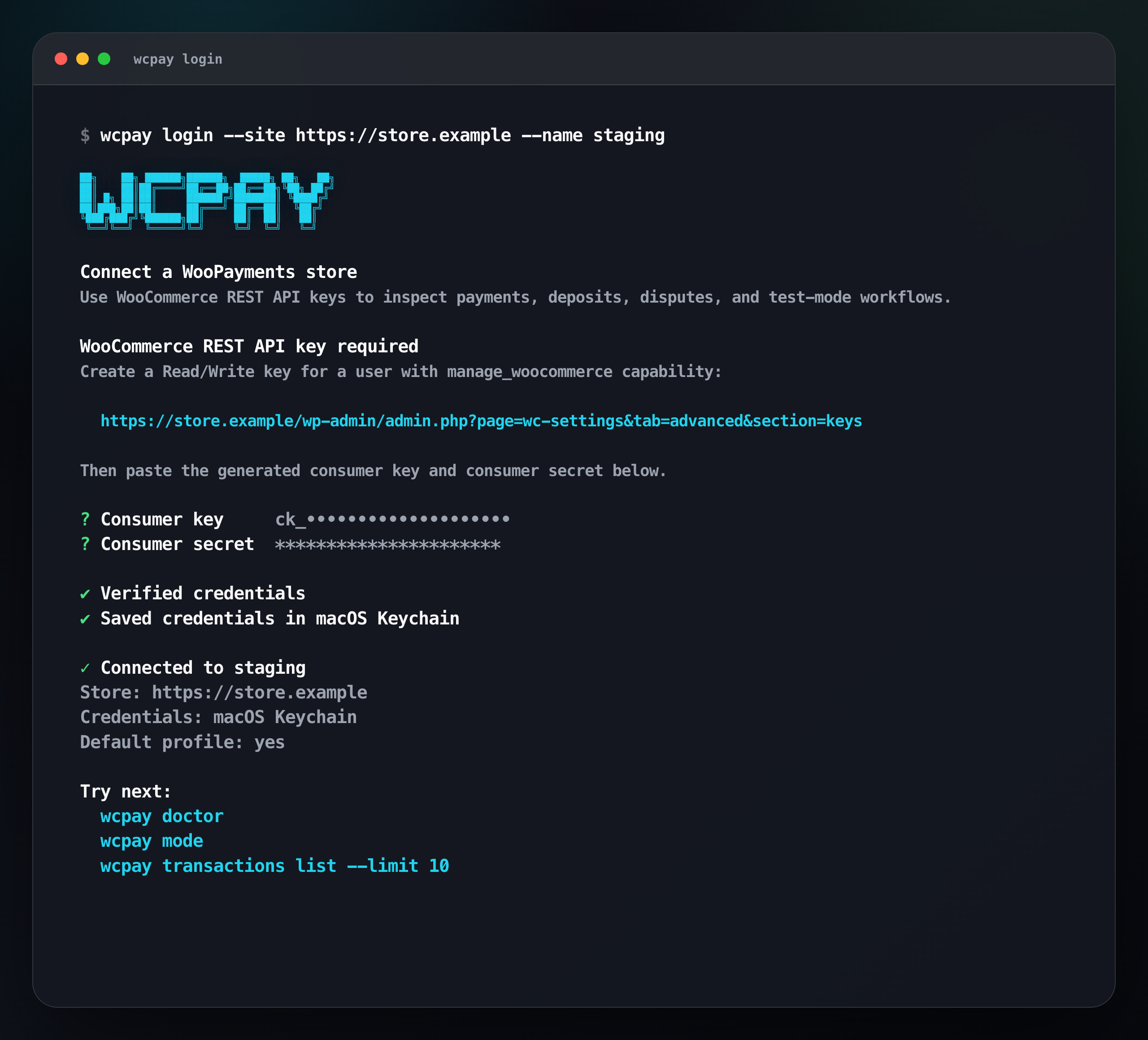 WooPayments CLI login wizard